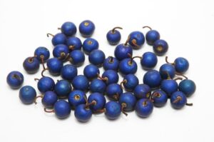 Blue Rudraksha Fruit